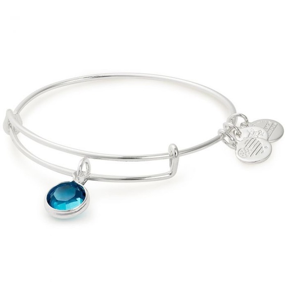 Alex and Ani Jewelry - Alex and Ani December Birthstone Bracelet